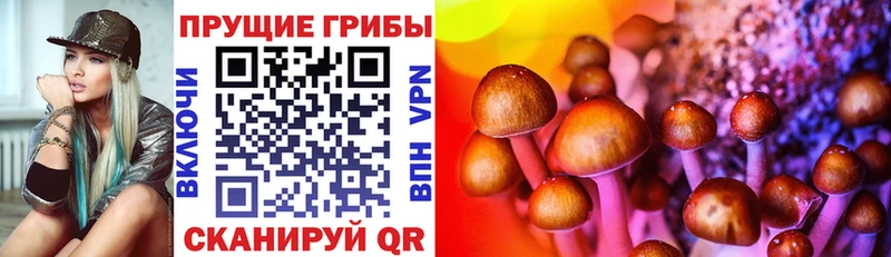 ОМГ ОМГ как войти Снежинск Галлюциногенные грибы GOLDEN TEACHER